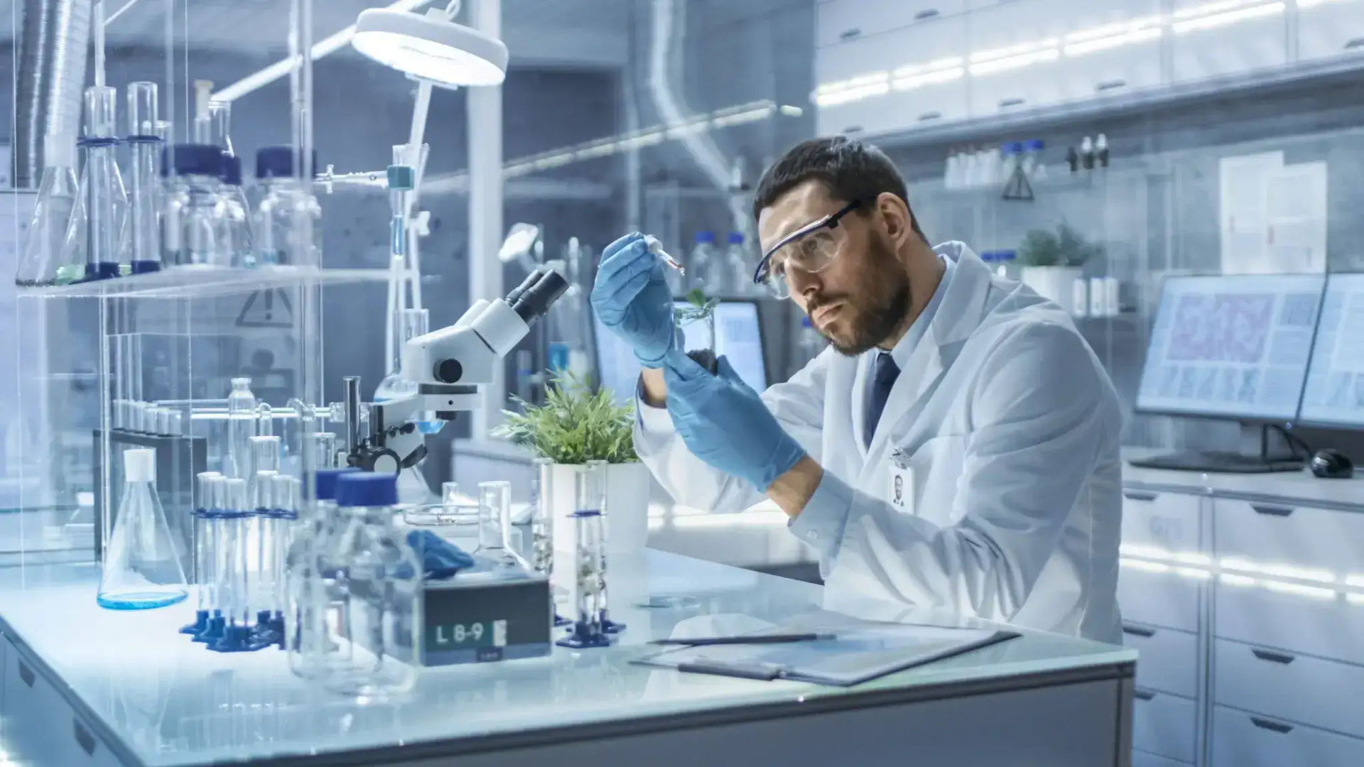 Биотехнологии в растениеводстве
